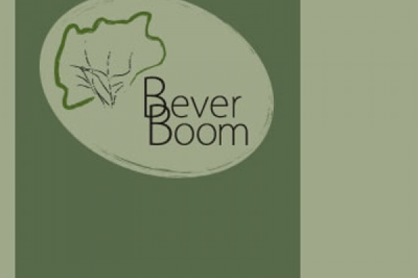Officieel logo van De Beverboom