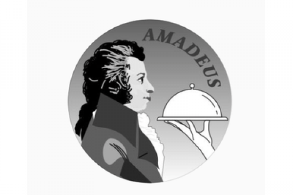 Officieel logo van Amadeus