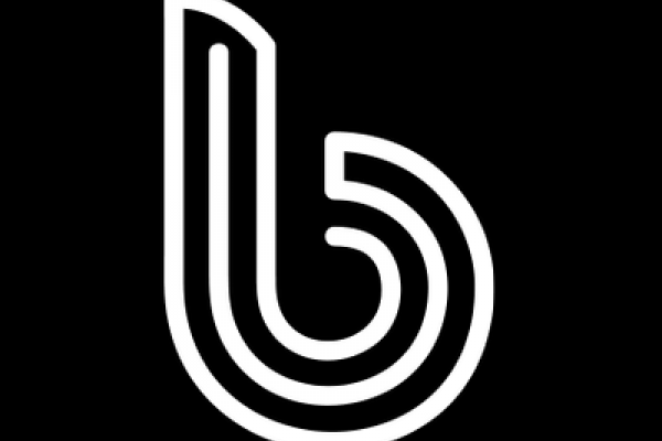 Officieel logo van Het Brughuis