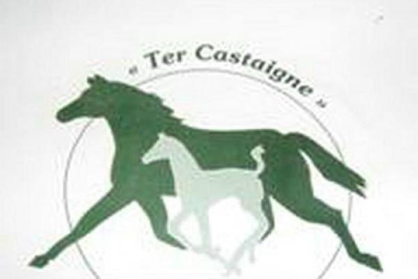 Officieel logo van Ter Castaigne