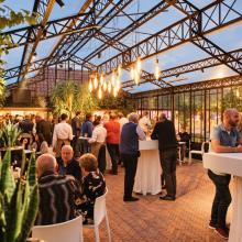 Receptie in de orangerie van Alta Ripa II