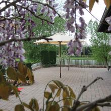 Terras met zicht op het water door de blauwe regen